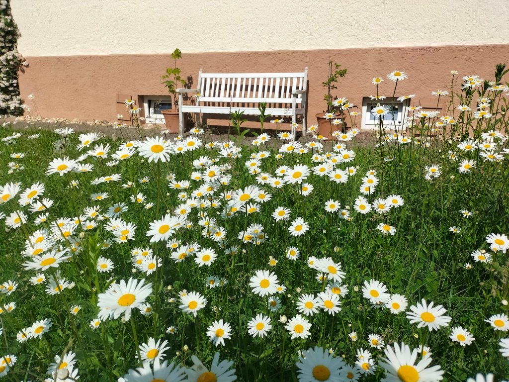 Außenansicht Praxis Salach